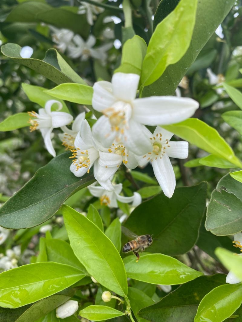 blog-post